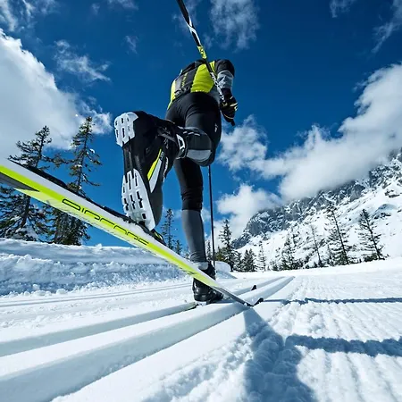 Bergerleben Apartment