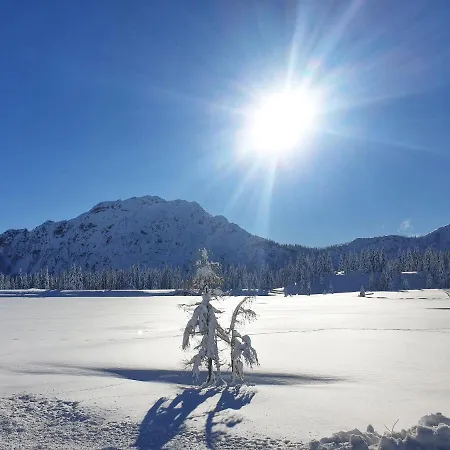 Apartment Bergerleben
